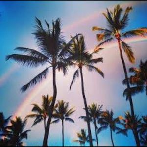 Meet your Posher, Elissa